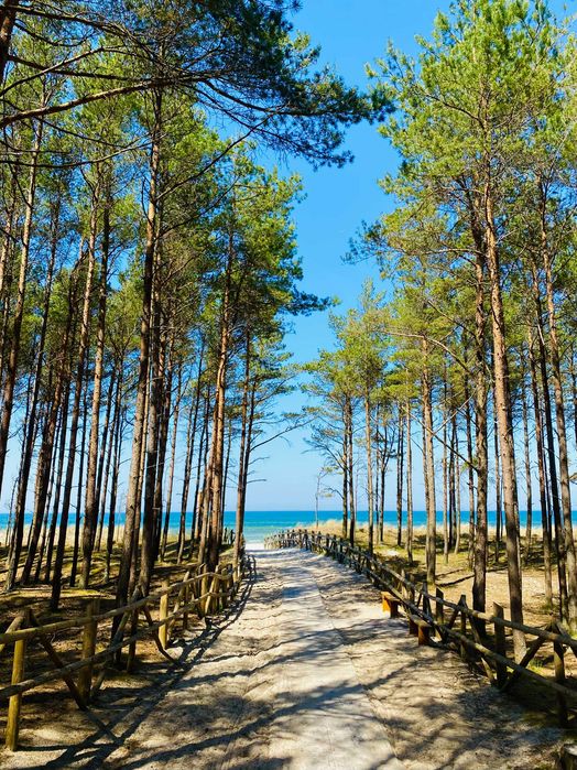 Domki nad morzem, domki letniskowe, sauna/balia, z psem, Lubiatowo
