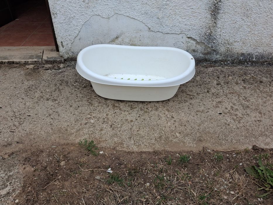 Banheira bebé...