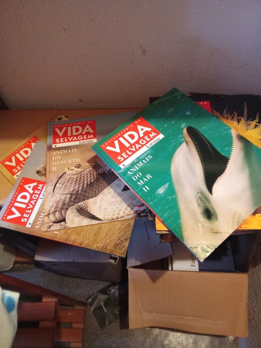 Coleção livros vida selvagem