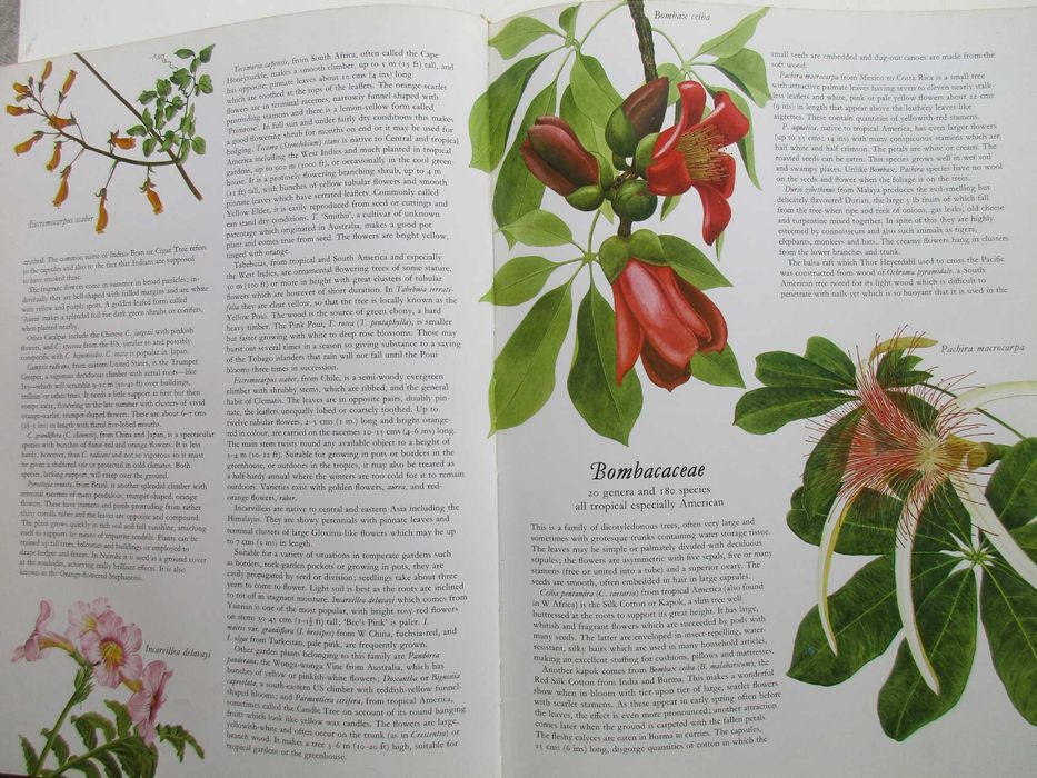 Flowers of the World - - - - - Encyclopedia