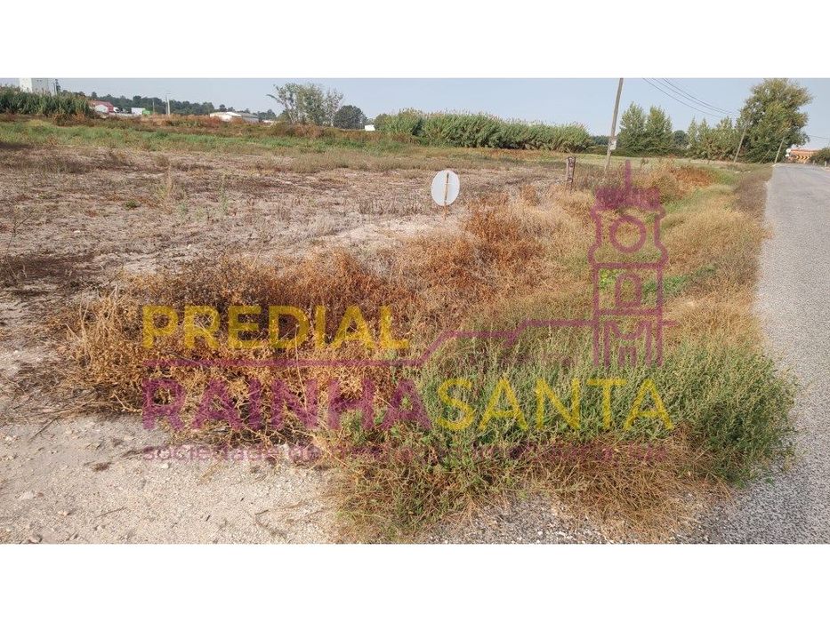 Terreno/ construção de moradias- Foros Salvaterra de Magos