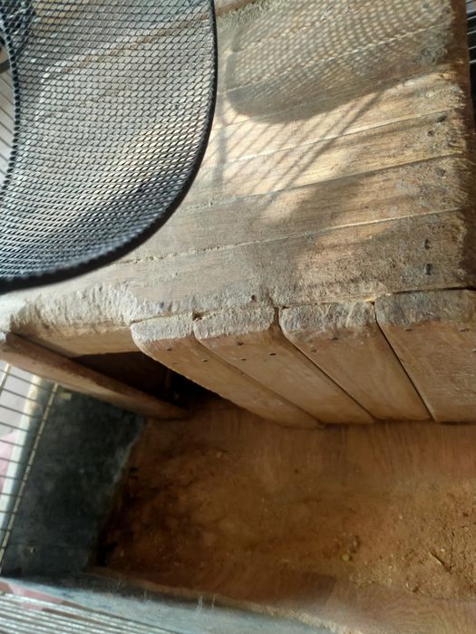 большая клетка для шиншил