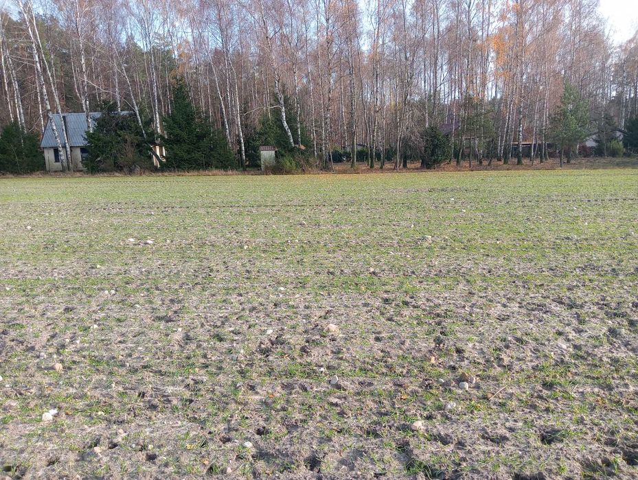 Sprzedam działki budowlane w miejscowosci Ksawercin