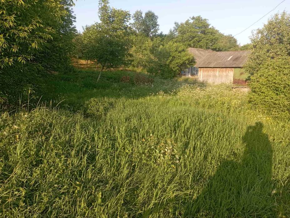 Будинок, господарство,дача,земельна ділянка ,місце для новобудови