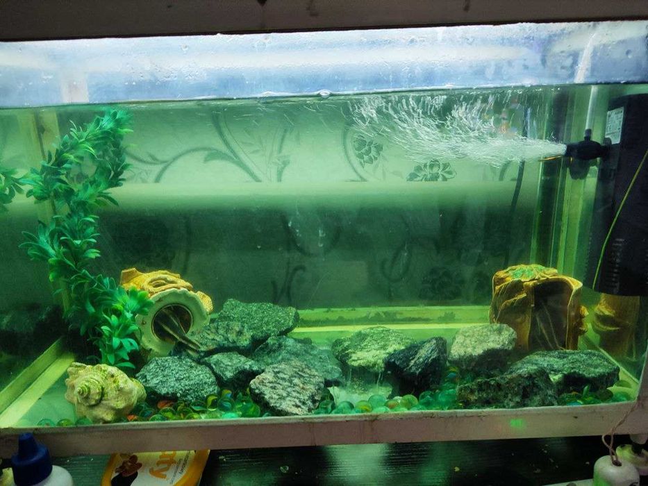 Акваріум з усім необхідним