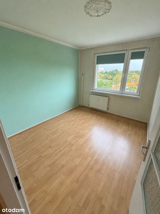 Zdjęcie 3
