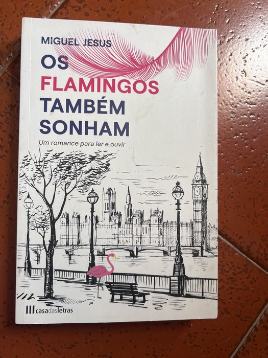 Os Flamingos também sonham
