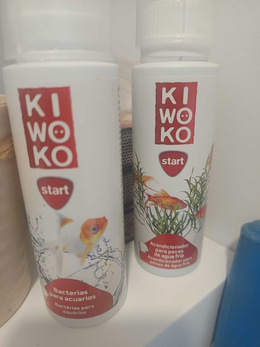 Aquário água fria para um peixe