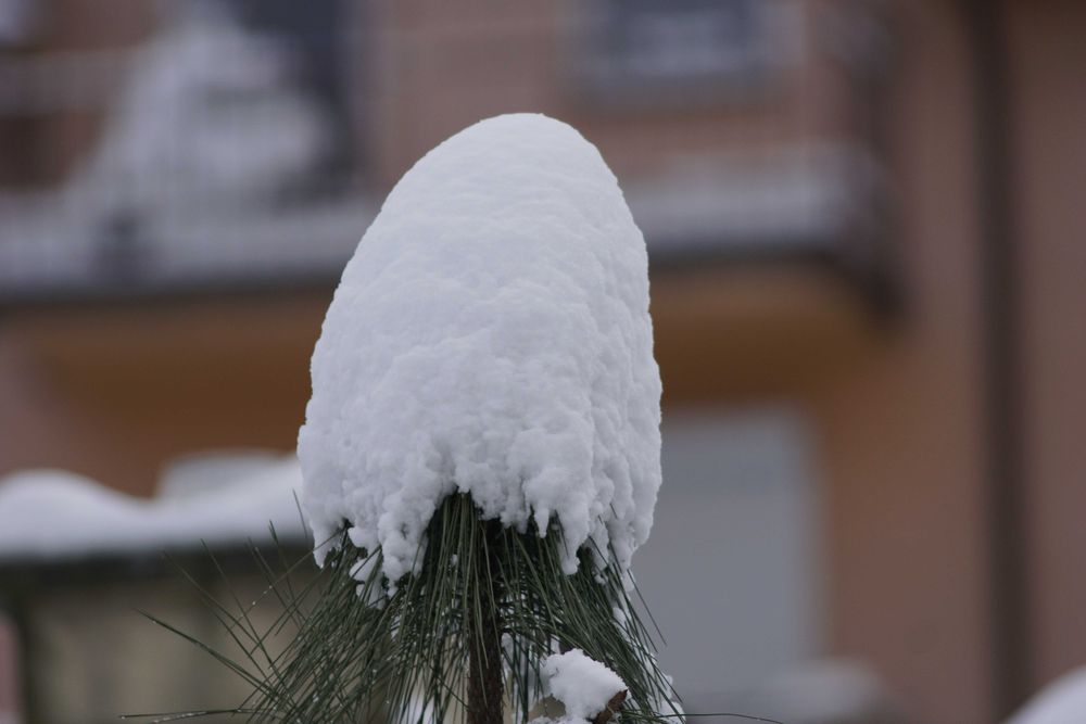 Obiektyw Minolta AF Apo Tele 300mm f/4.