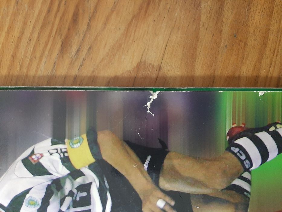 Caderneta Futebol, Época 2002-2003 Panini