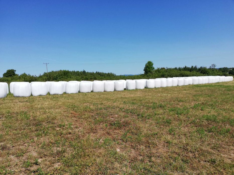Sianokiszonka z lucerny i trawy 2026!!