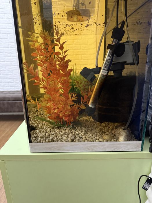 Акваріум з усім приладдям