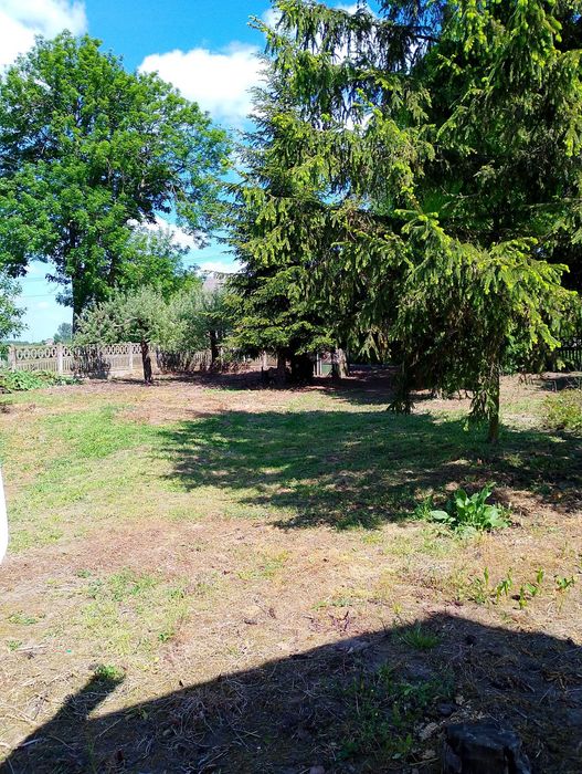 Działka z bydunkiem/siedlisko, Stanisławów blisko Uniejowa - Widok 4