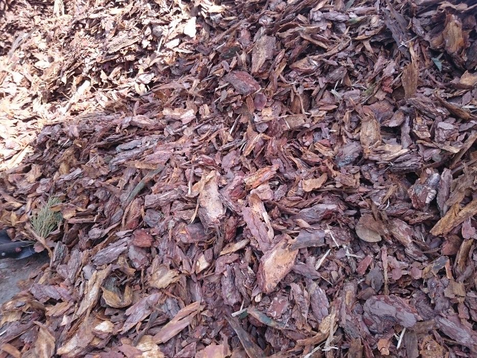 Kora sosnowa gruba dekoracyjna ozdobna ogrodowa