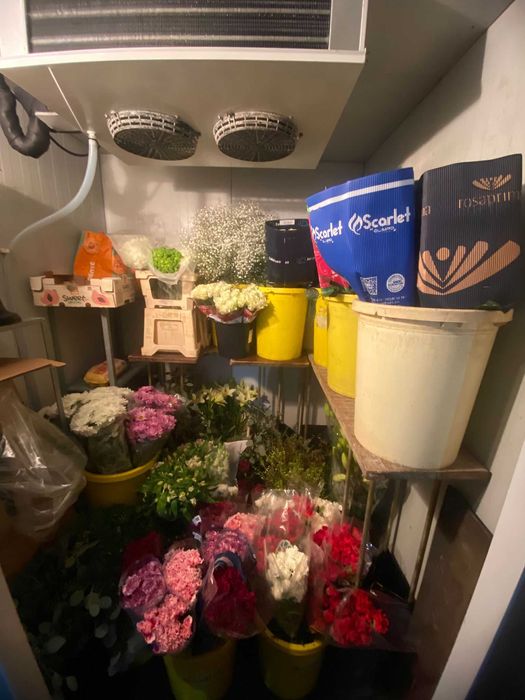 Arca refrigeradora de flores