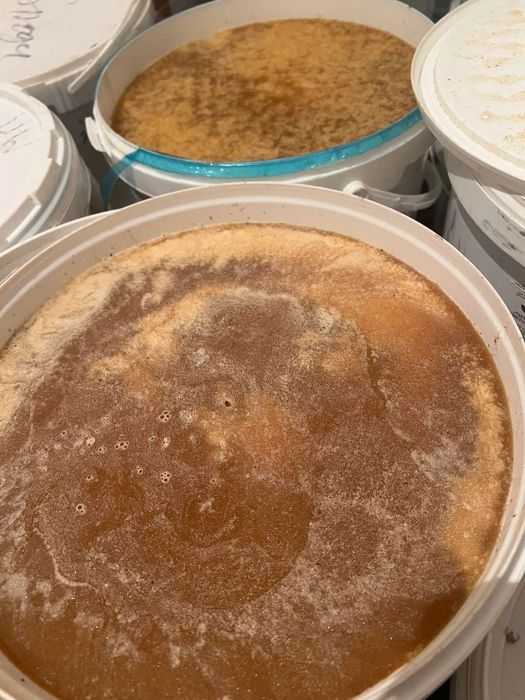 Продам відро натурального меду