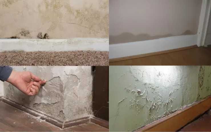 pintura  de interiores - paredes - tetos - moveis - reparações