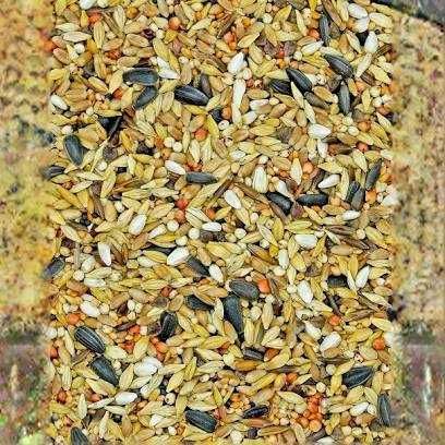 Mieszanka karma dla ptakow zimujacych sikorki 1kg