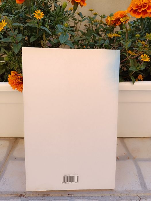 Visto do Céu - Alice Sebold