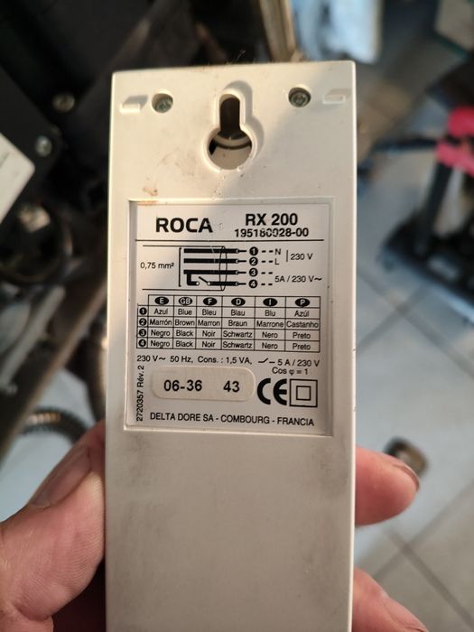 Caldeirada roca 24/24