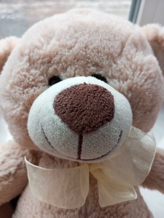 М'яка іграшка ведмедик