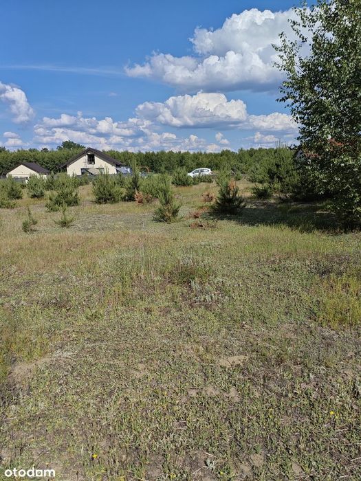 Działka budowlano- rekreacyjna Malanów powiat pabianicki - Widok 5