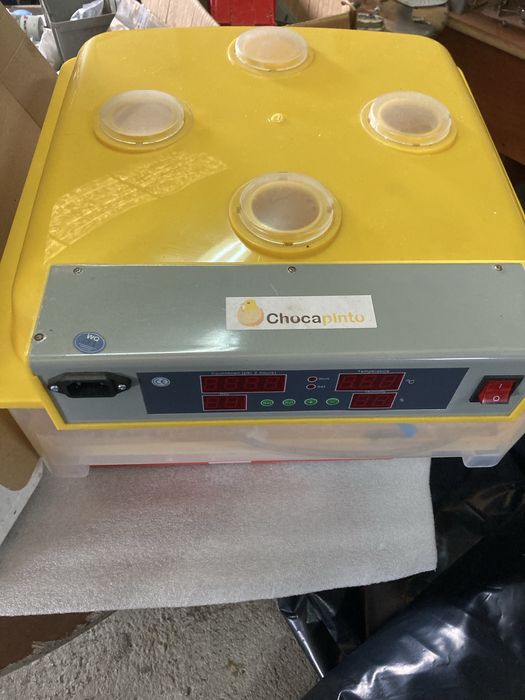 Chocadeira automatica