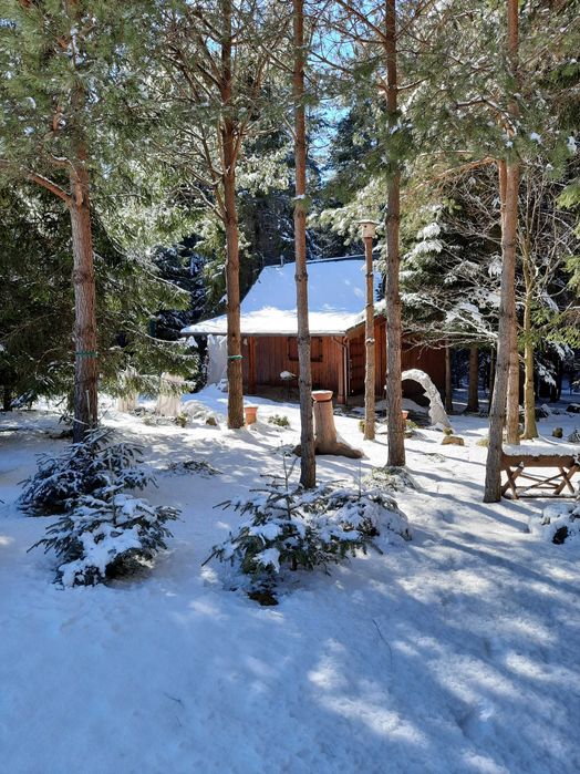 Domek letniskowy całoroczny