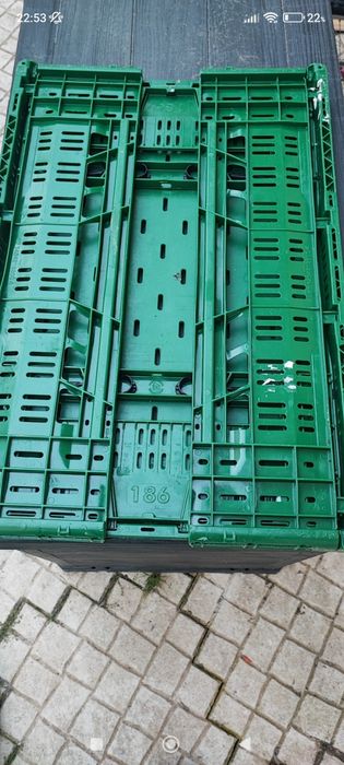 Caixas verdes desdobráveis