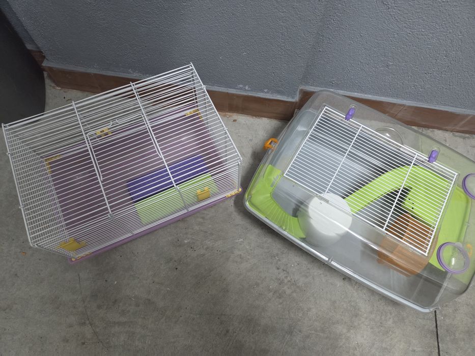 Gaiolas hamster equipadas