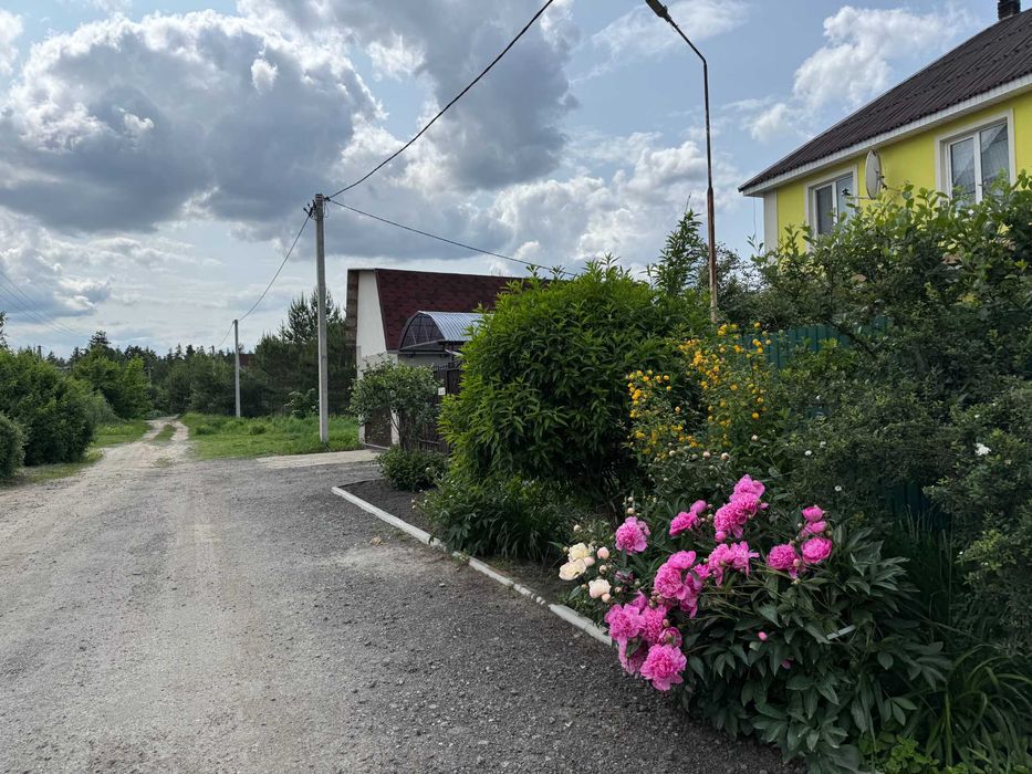 Малютянка 15 соток з соснами Продаж ділянки Еко зона