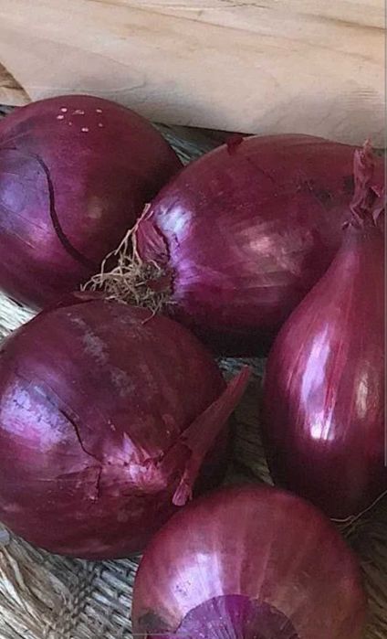 Cebola Roxa, semente de cebola roxa.