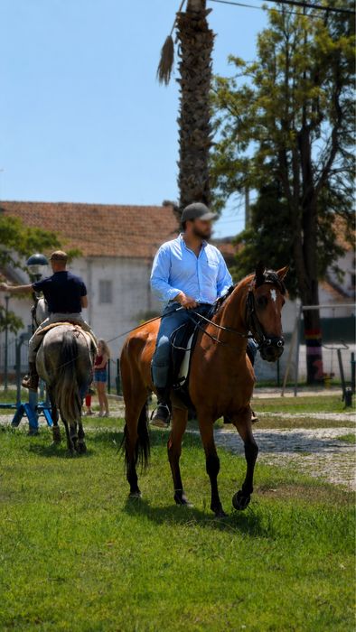 Égua PSL Letra S (Aceito propostas)