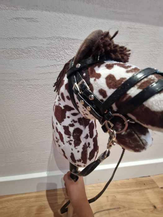 Hobby horse z ogłowiem A4