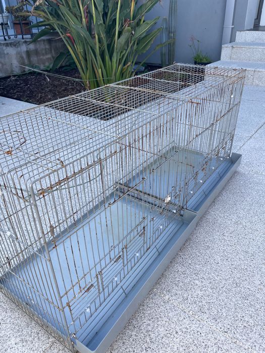 Gaiola de criação de aves de pequeno porte