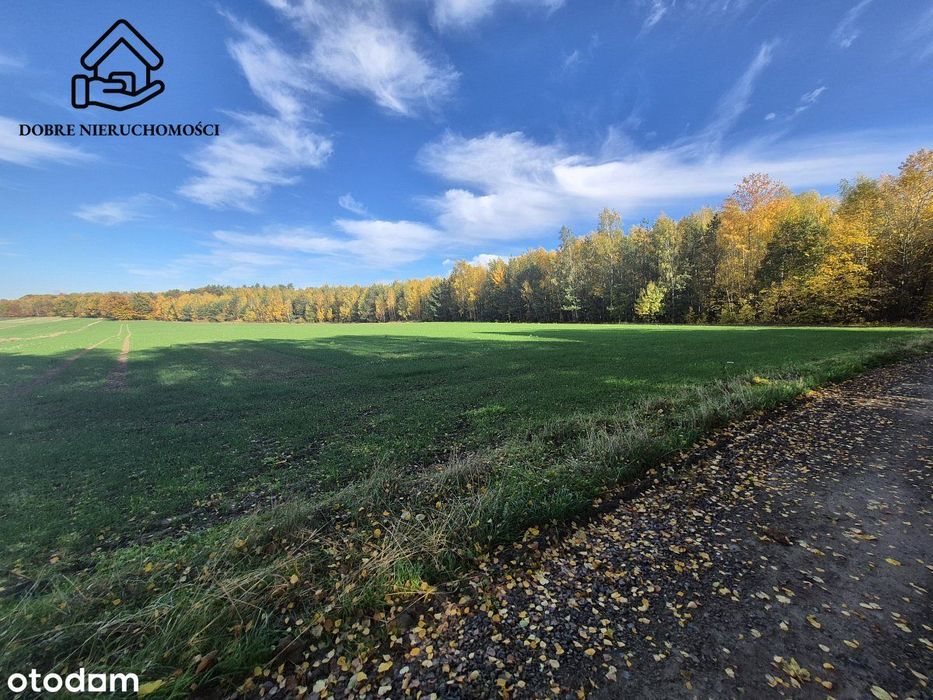 Działka budowlana - Polanówka - 1000m2