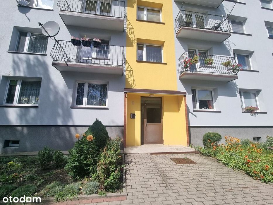 Mieszkanie 3 pokojowe na parterze, blisko lasu.