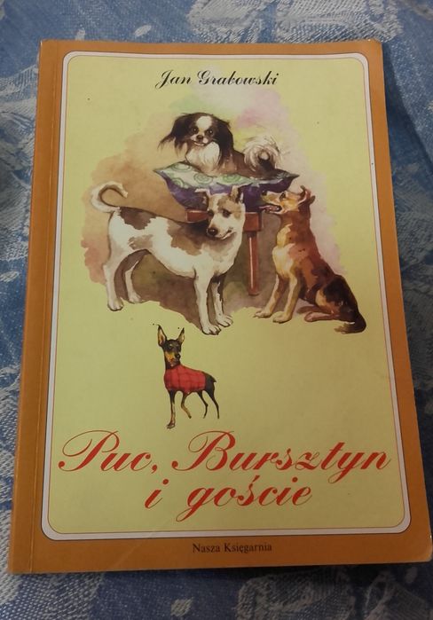 Puc Bursztyn I Goście Charakterystyka Psów