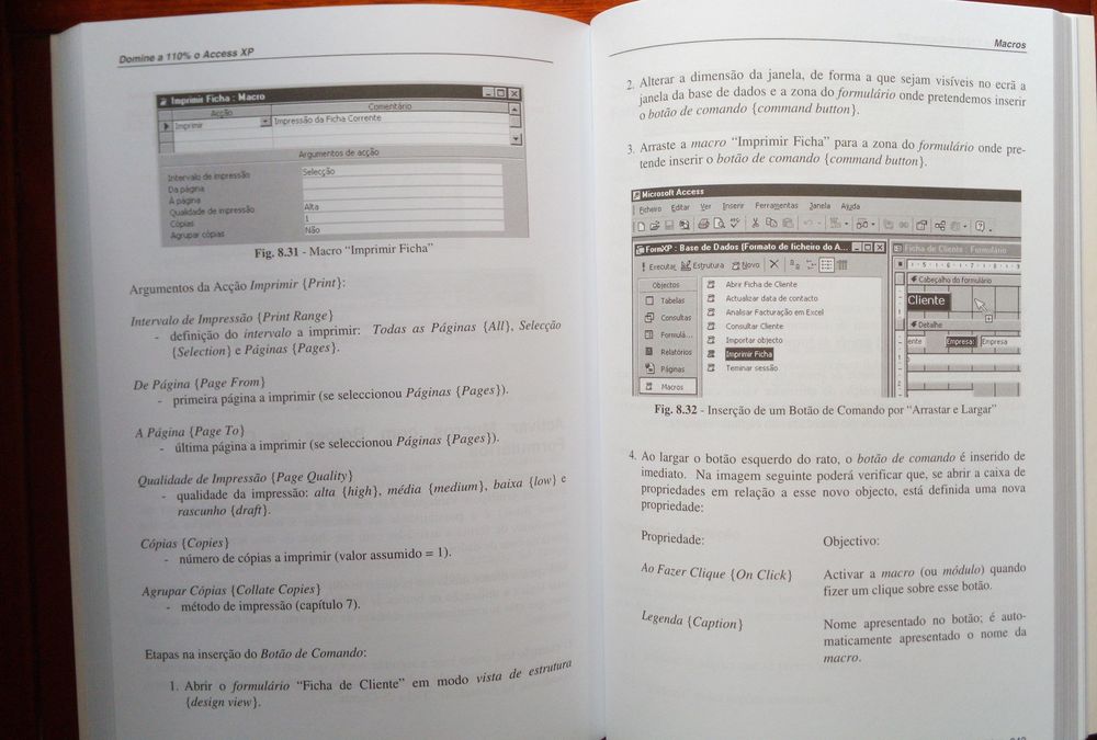 Access XP Livro ( Domine A 110% o Access XP )64585954066434121
