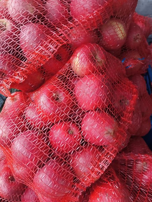 Sok tłoczony 100% owoce i warzywa