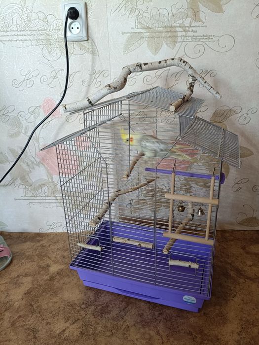 Клітка для папуг