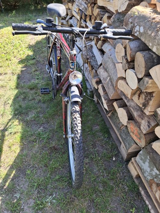 Rower MTB Arkus  tanio