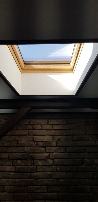 Двокімнатна квартира-лофт в центрі міста з видом на гай