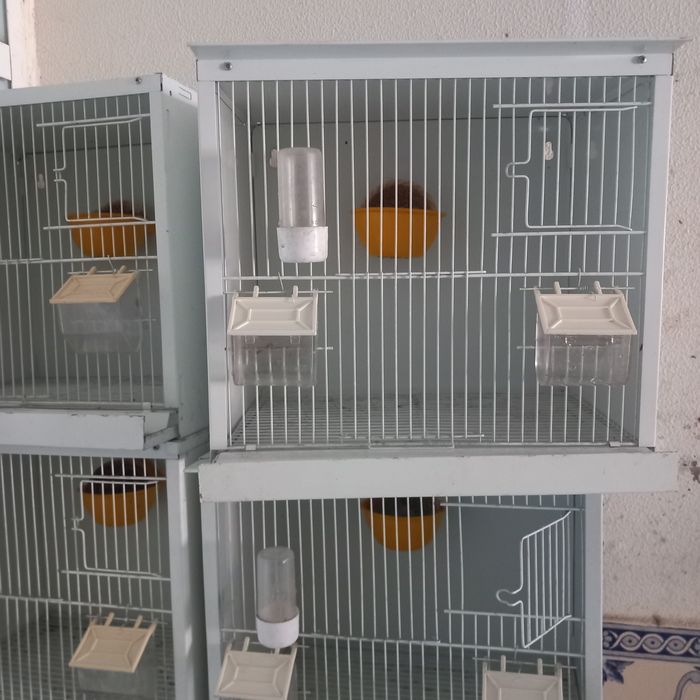 Viveiros de criação