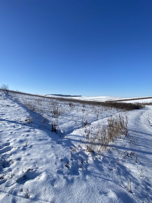 Продам земельну ділянку
