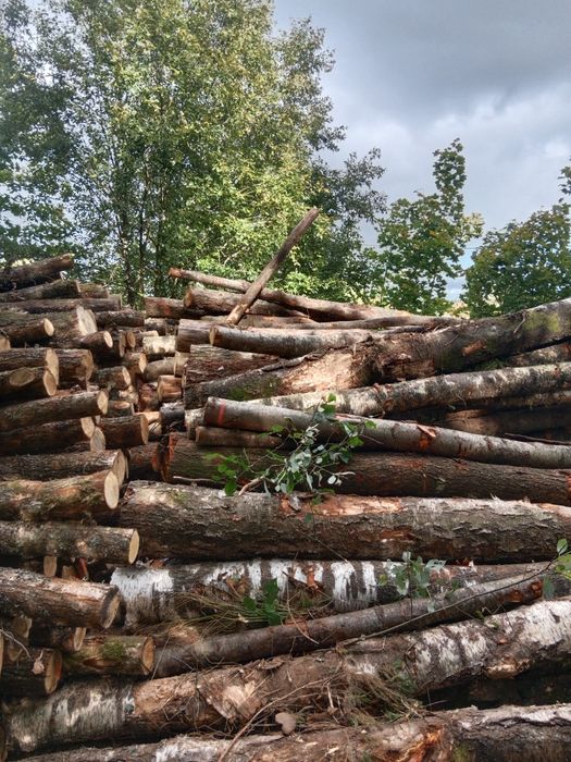 Sprzedam drewno kominkowo opalowe