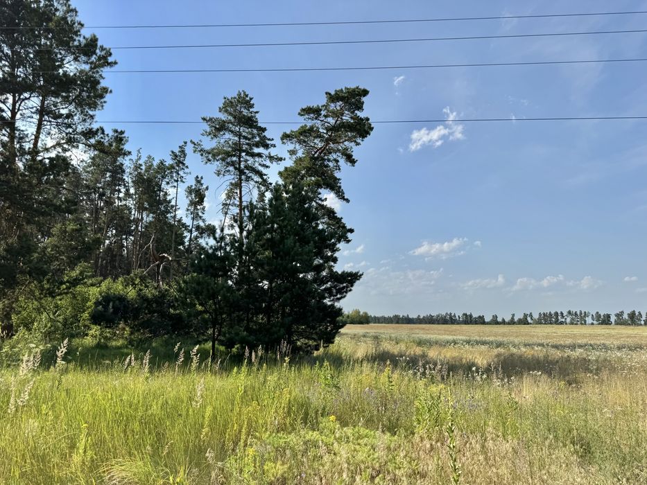 Земельна ділянка 27 га! Андріївка.