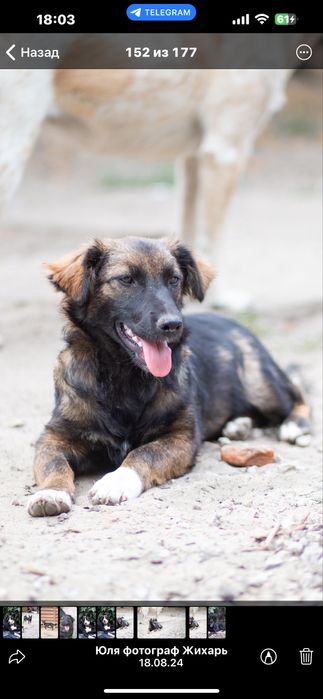 Стерилизованая девочка 11 месяцев Майя