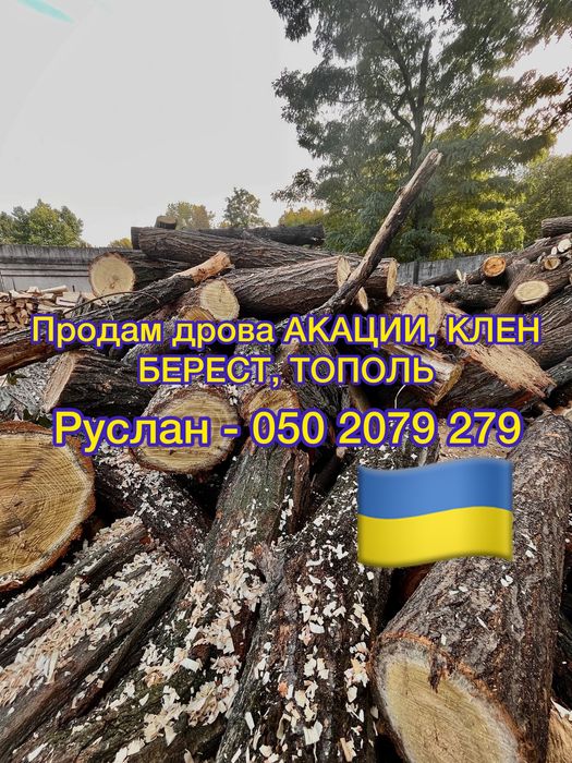 Дрова акация, ясень, клен, берест