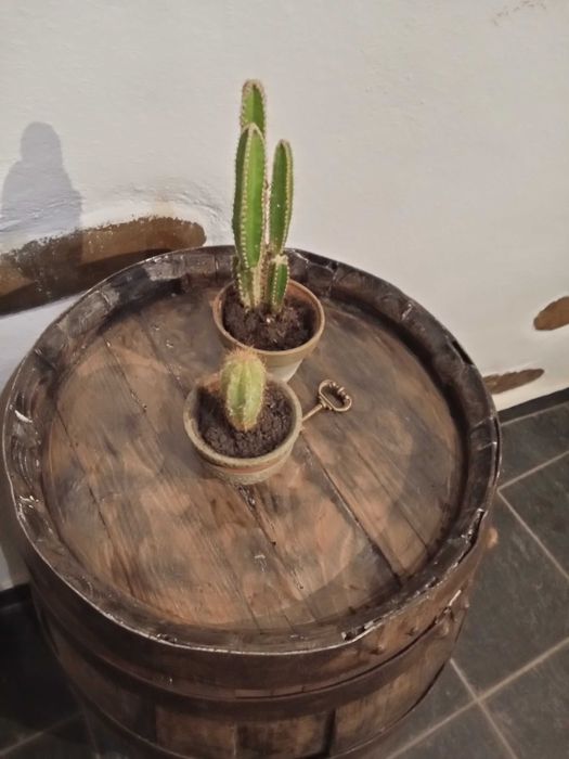 Barril de Vinho em Carvalho Restaurado – Peça Decorativa / Mesa Lateral